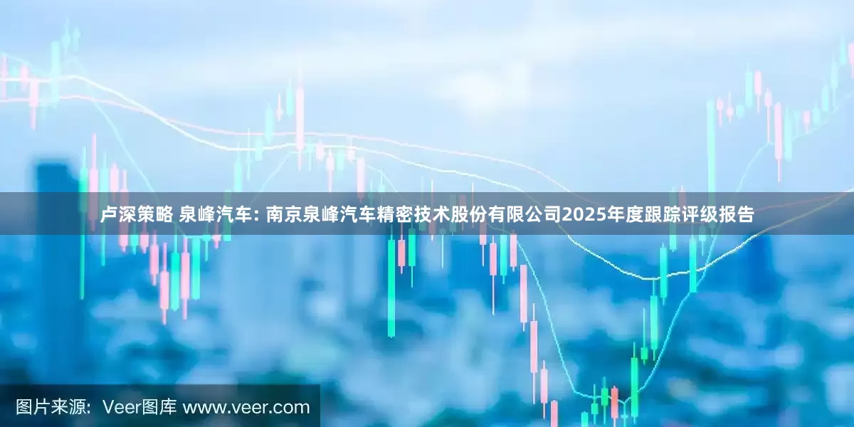 卢深策略 泉峰汽车: 南京泉峰汽车精密技术股份有限公司2025年度跟踪评级报告