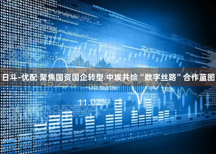 日斗-优配 聚焦国资国企转型 中埃共绘“数字丝路”合作蓝图