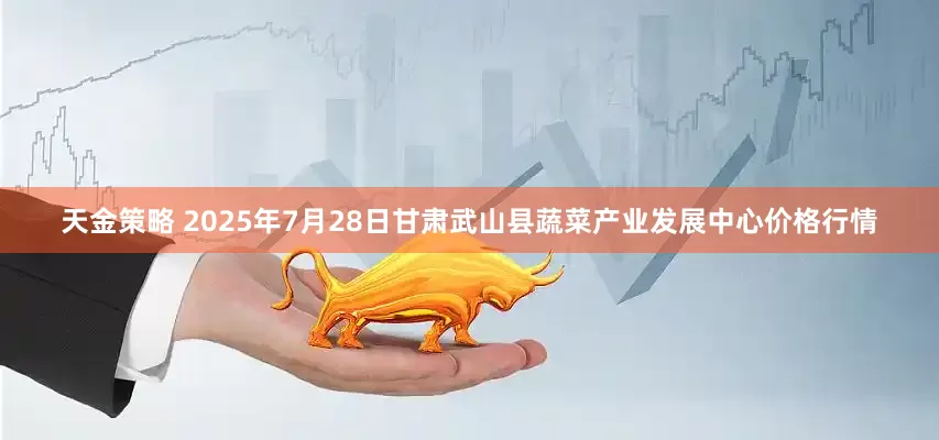 天金策略 2025年7月28日甘肃武山县蔬菜产业发展中心价格行情