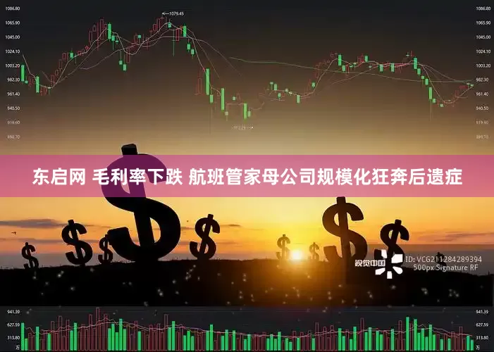 东启网 毛利率下跌 航班管家母公司规模化狂奔后遗症